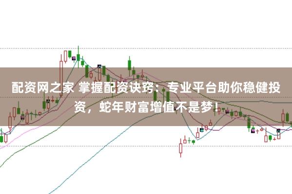 配资网之家 掌握配资诀窍：专业平台助你稳健投资，蛇年财富增值不是梦！