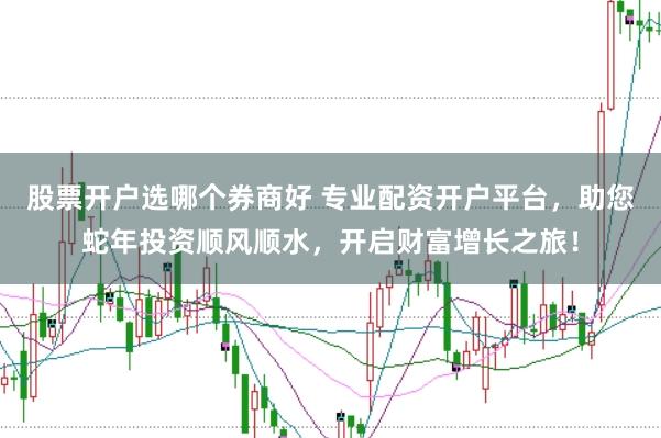 股票开户选哪个券商好 专业配资开户平台，助您蛇年投资顺风顺水，开启财富增长之旅！