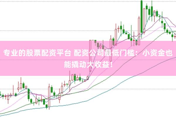 专业的股票配资平台 配资公司最低门槛：小资金也能撬动大收益！