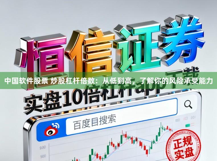 中国软件股票 炒股杠杆倍数：从低到高，了解你的风险承受能力