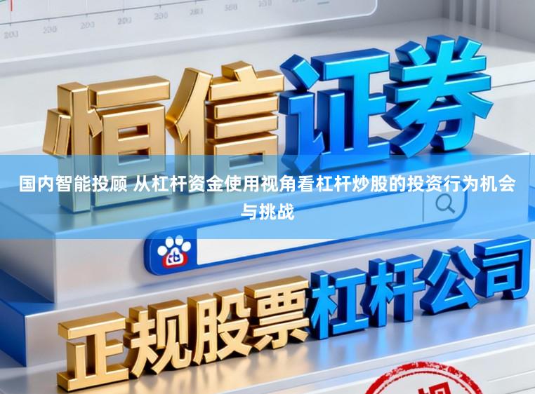 国内智能投顾 从杠杆资金使用视角看杠杆炒股的投资行为机会与挑战